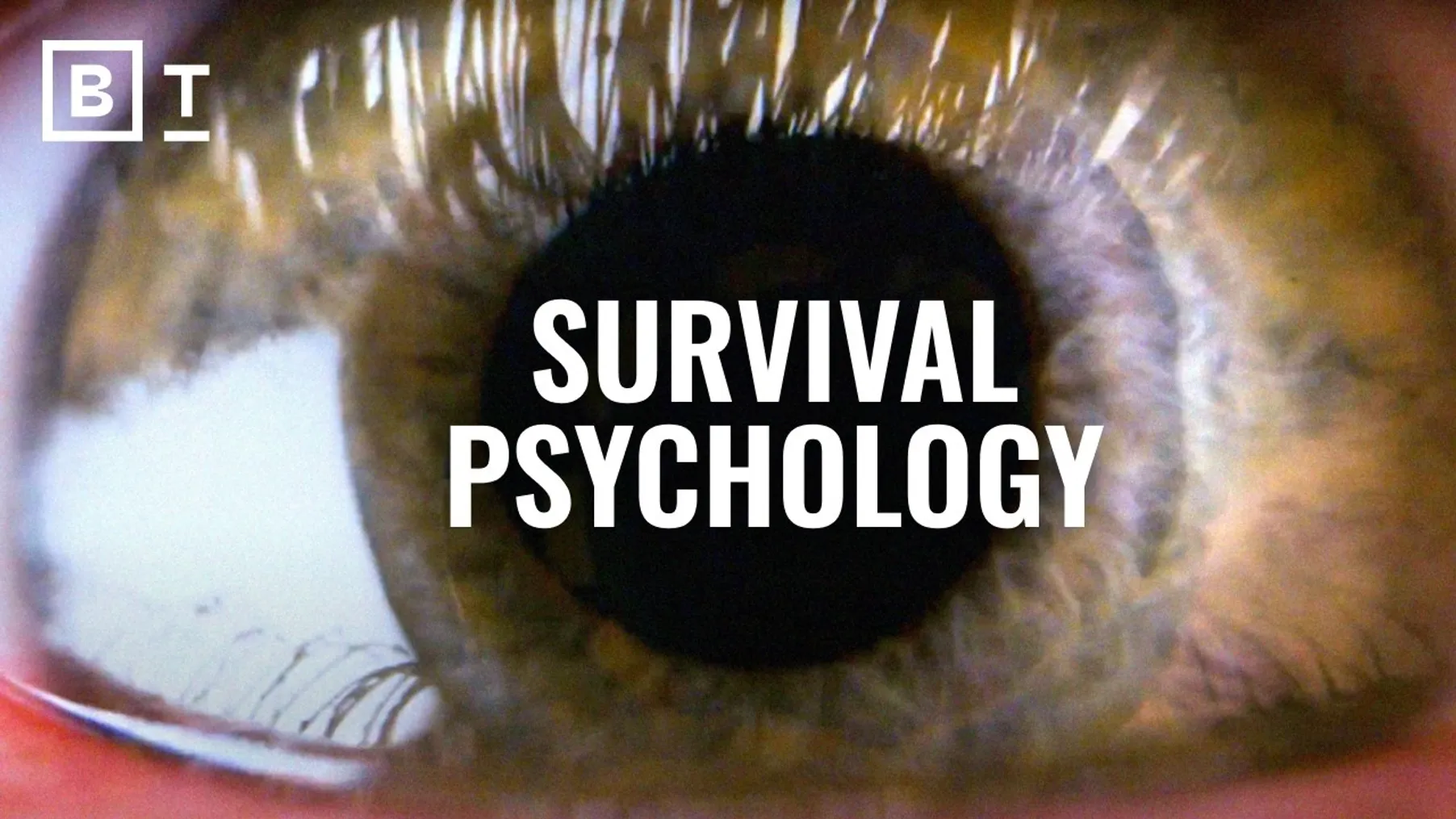 Who will you become during a crisis? | Amanda Ripley Preview