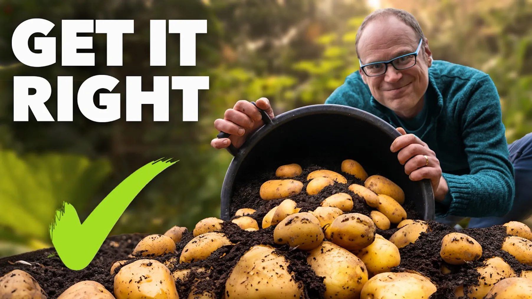 Potato Growing Masterclass: My Tips for a Bigger, Better Harvest Preview
