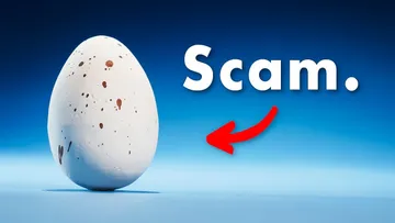 This Egg is Nature's Greatest Scam Preview
