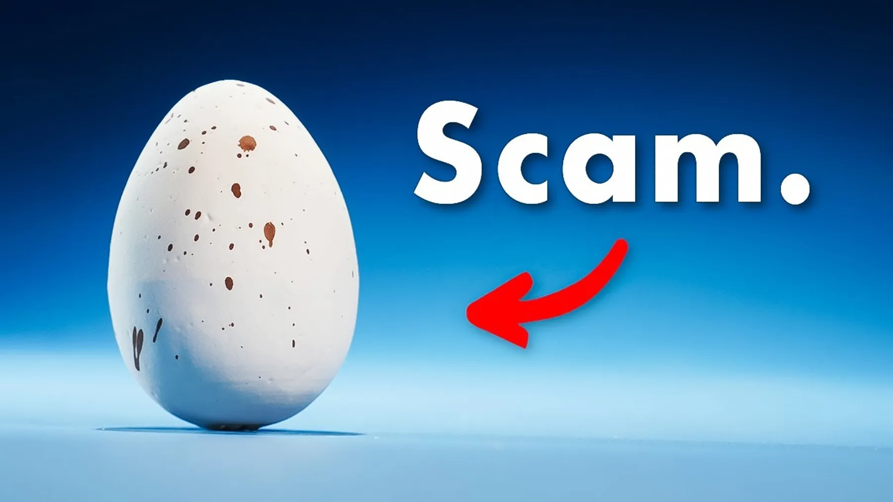 This Egg is Nature's Greatest Scam Preview