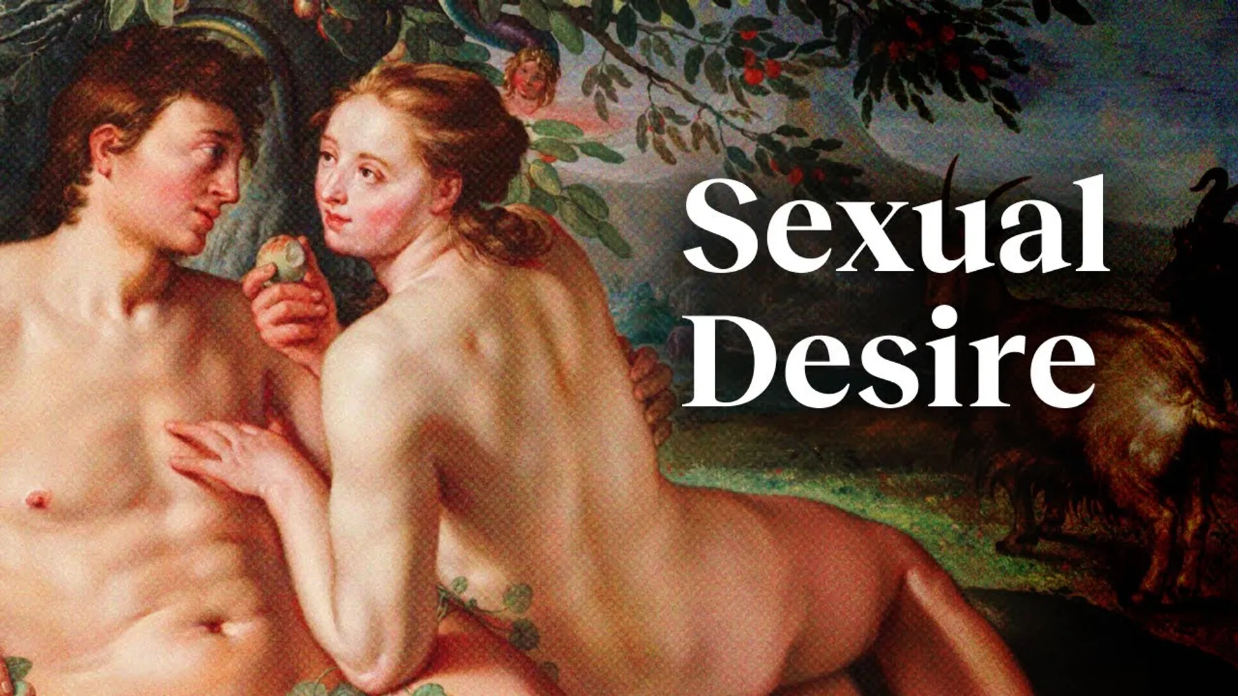 Good sex explained in 9 minutes | Dr. Emily Nagoski Preview